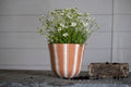 Prescott Terracotta Planter