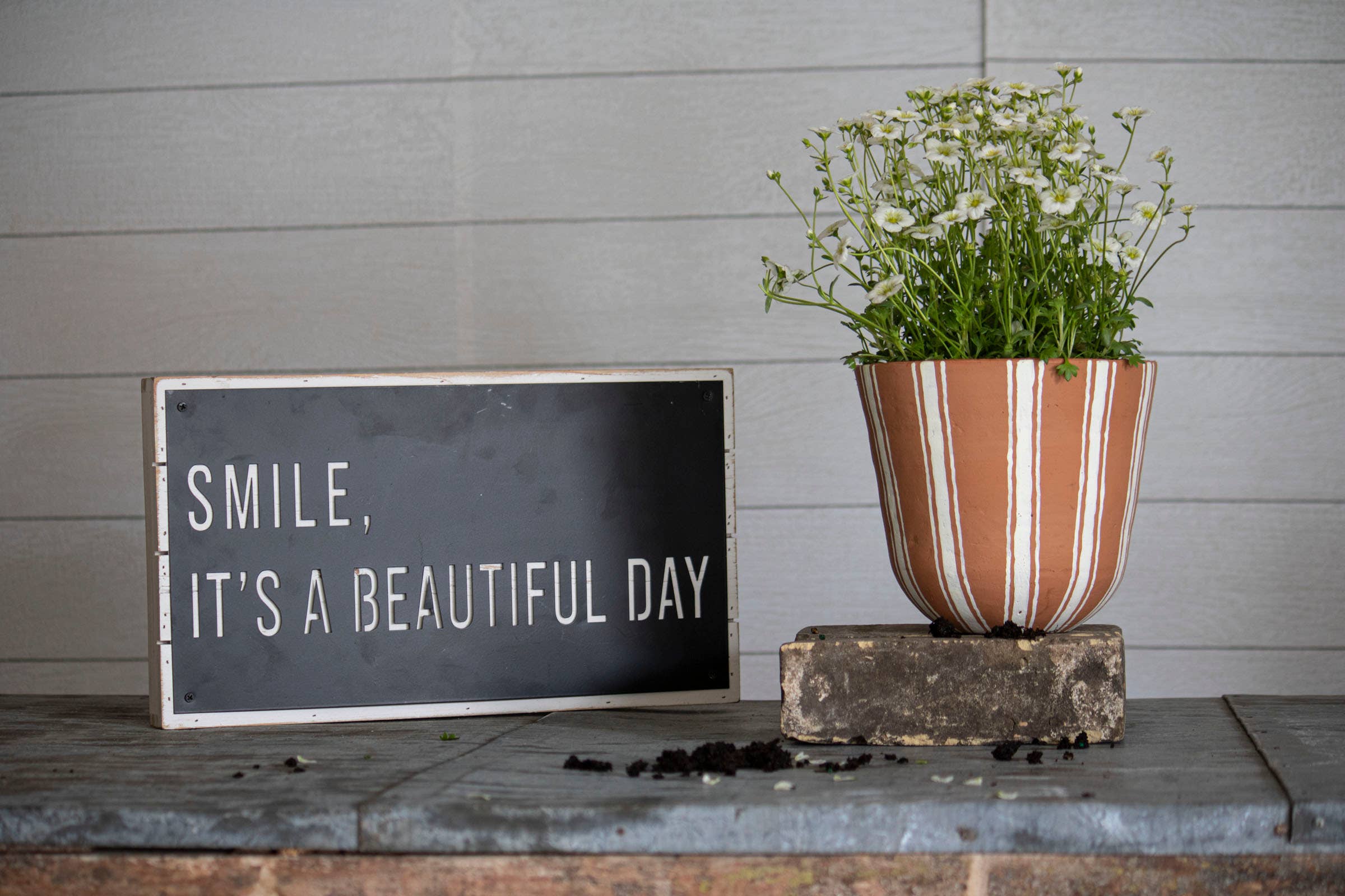 Prescott Terracotta Planter