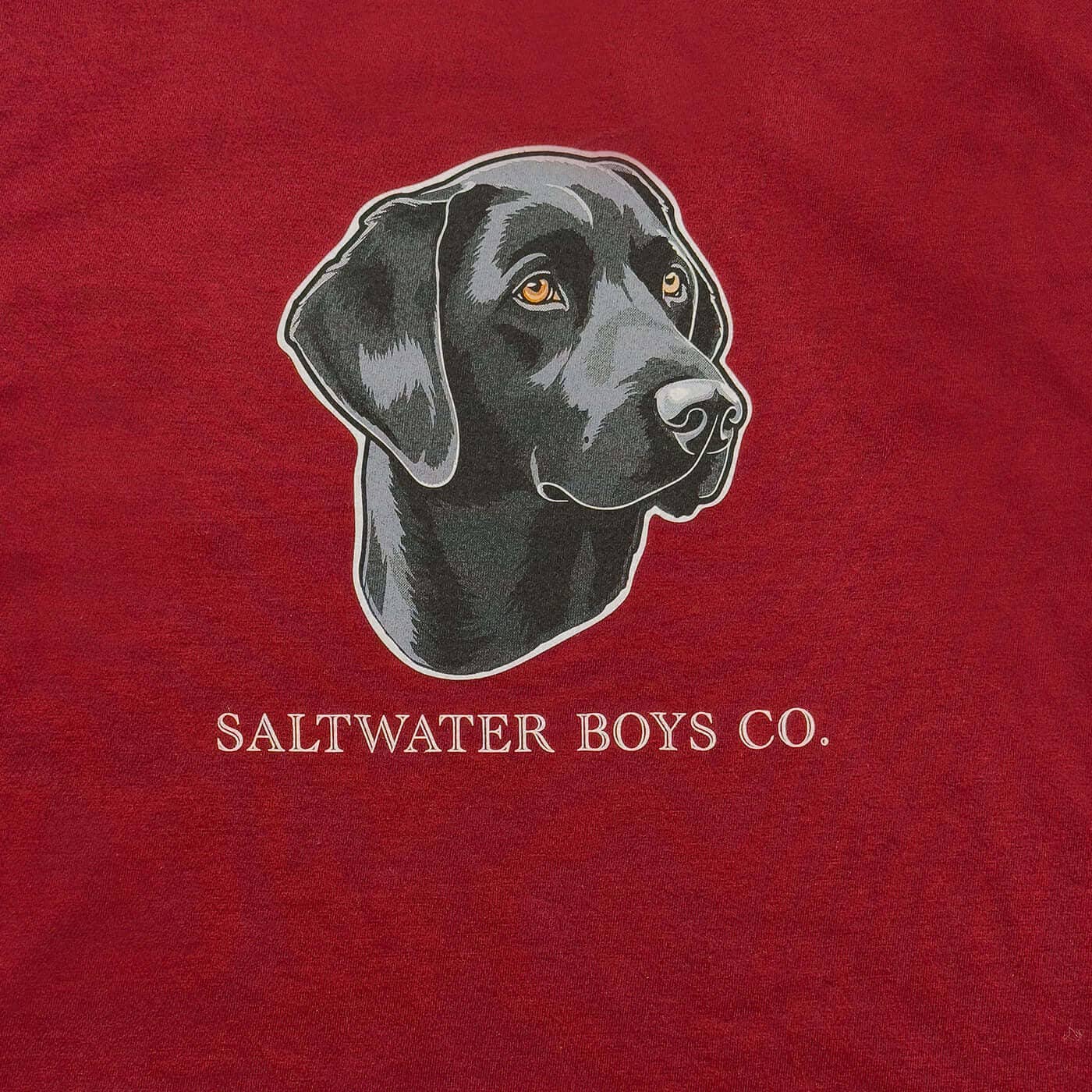 Lab Head Boys Graphic Tee